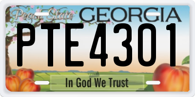 GA license plate PTE4301