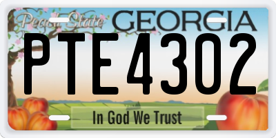 GA license plate PTE4302