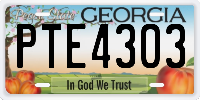 GA license plate PTE4303
