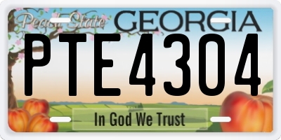 GA license plate PTE4304