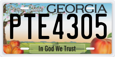GA license plate PTE4305