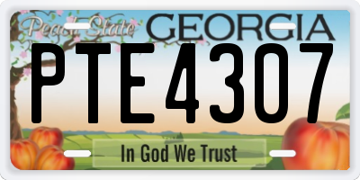GA license plate PTE4307