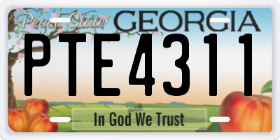 GA license plate PTE4311