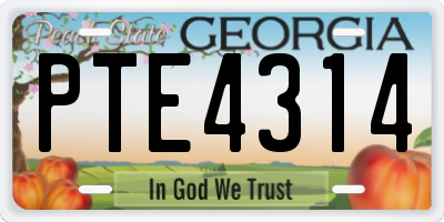 GA license plate PTE4314
