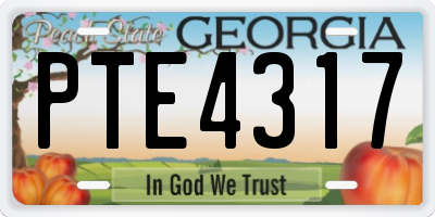 GA license plate PTE4317