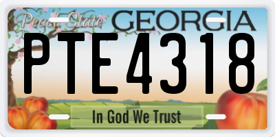 GA license plate PTE4318