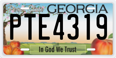 GA license plate PTE4319