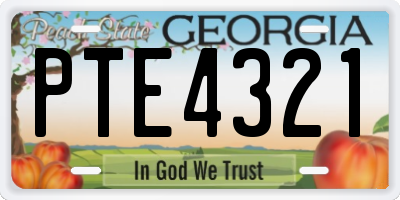 GA license plate PTE4321