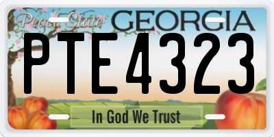 GA license plate PTE4323