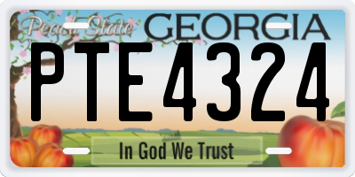 GA license plate PTE4324