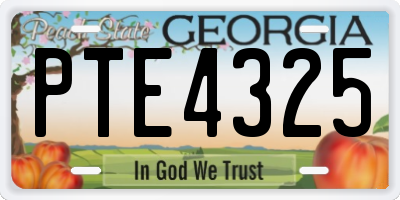 GA license plate PTE4325