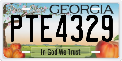 GA license plate PTE4329