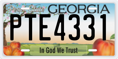 GA license plate PTE4331