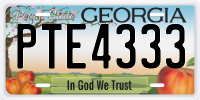 GA license plate PTE4333