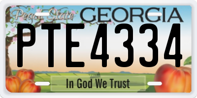 GA license plate PTE4334