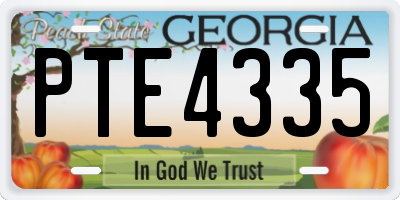 GA license plate PTE4335