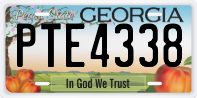GA license plate PTE4338