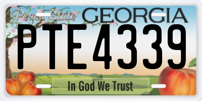GA license plate PTE4339