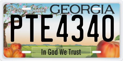 GA license plate PTE4340