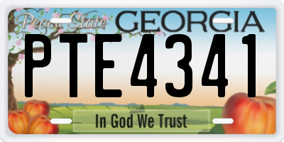 GA license plate PTE4341