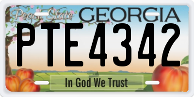 GA license plate PTE4342