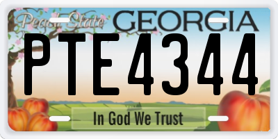 GA license plate PTE4344