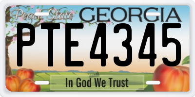 GA license plate PTE4345