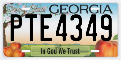 GA license plate PTE4349