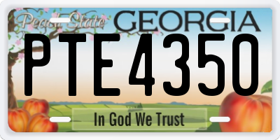 GA license plate PTE4350