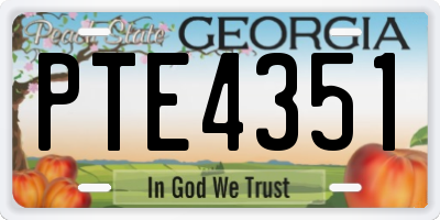 GA license plate PTE4351