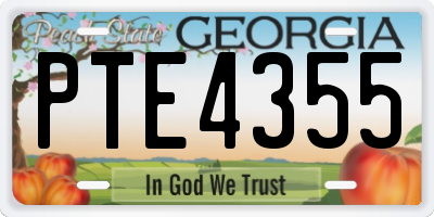 GA license plate PTE4355