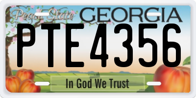 GA license plate PTE4356