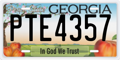 GA license plate PTE4357