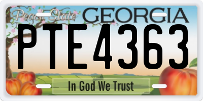 GA license plate PTE4363