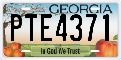GA license plate PTE4371