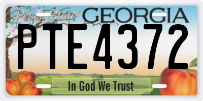 GA license plate PTE4372