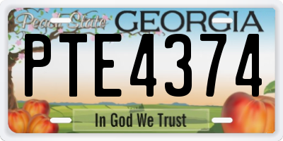 GA license plate PTE4374