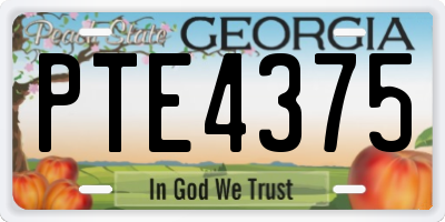 GA license plate PTE4375
