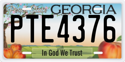 GA license plate PTE4376