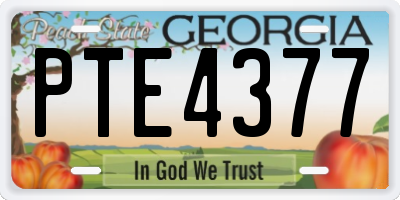 GA license plate PTE4377