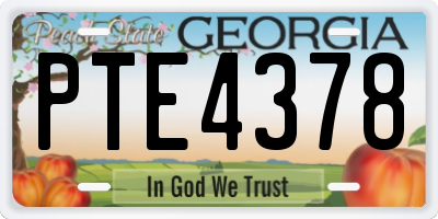 GA license plate PTE4378