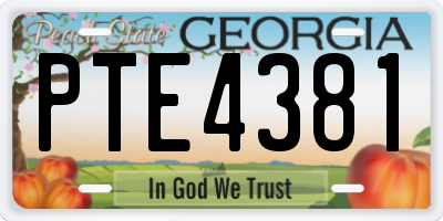 GA license plate PTE4381