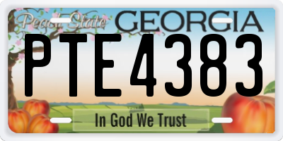 GA license plate PTE4383