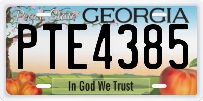 GA license plate PTE4385