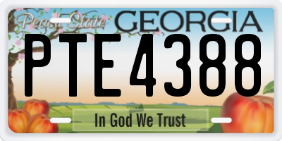 GA license plate PTE4388