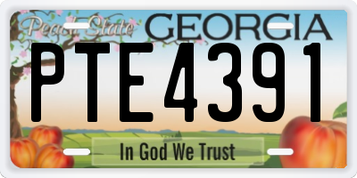 GA license plate PTE4391