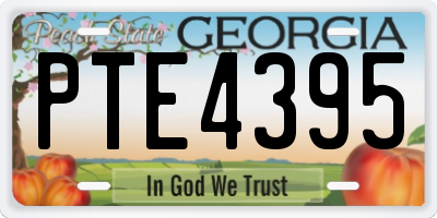 GA license plate PTE4395