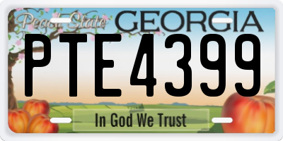 GA license plate PTE4399
