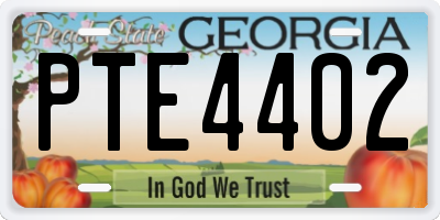 GA license plate PTE4402