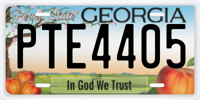 GA license plate PTE4405